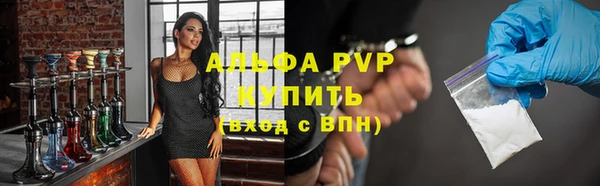 молекула духа Арсеньев