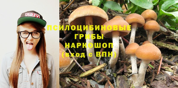 твердый Аркадак