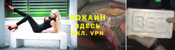 твердый Аркадак