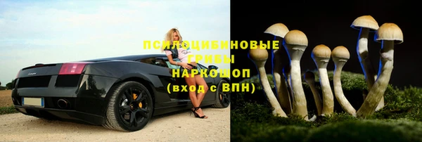 твердый Аркадак