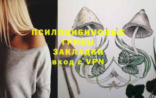 твердый Аркадак