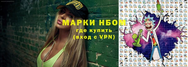 молекула духа Арсеньев