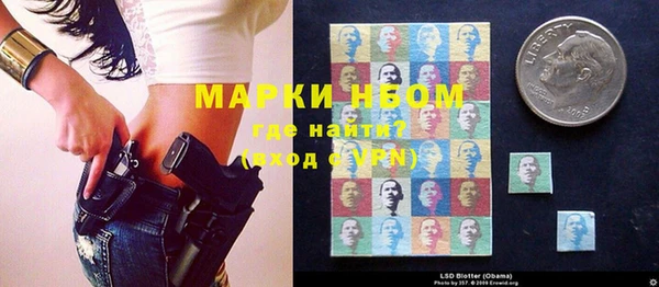 молекула духа Арсеньев