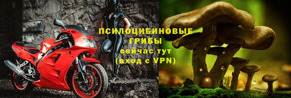 твердый Аркадак